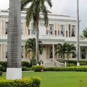 https://the-artist-place-new-kingston.comcaribbean.com